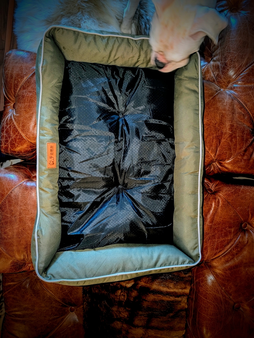 Dog Bed